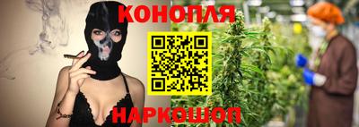 мяу мяу мука Партизанск